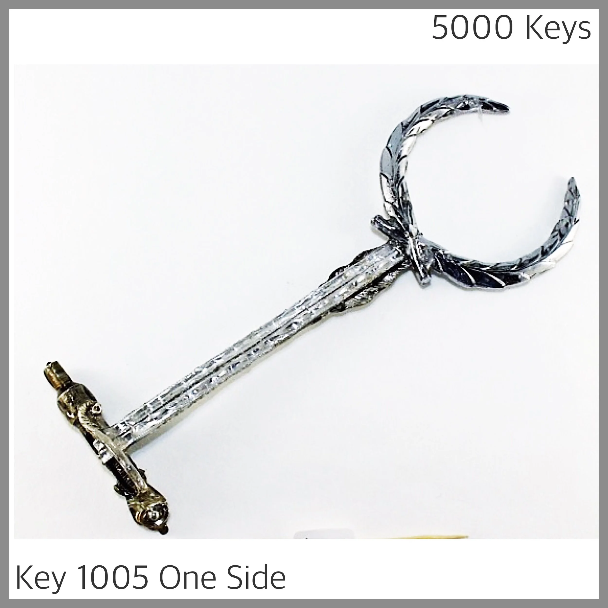 Key 1005 one side - 1.JPG