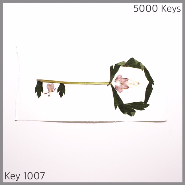 Key 1007 - 1.JPG