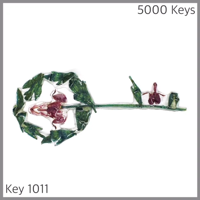 Key 1011 - 1.JPG