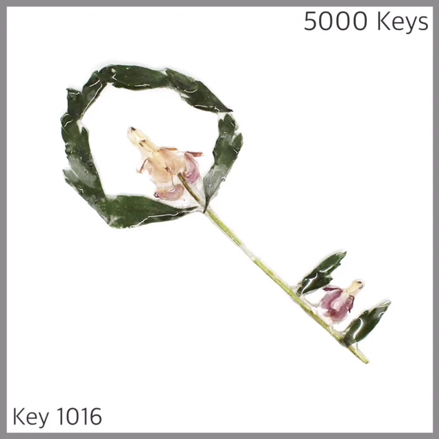 Key 1016 - 1.JPG
