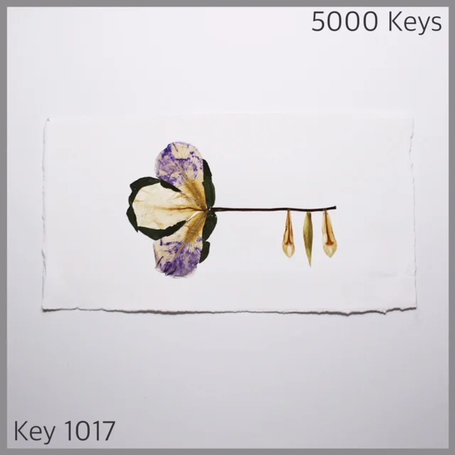 Key 1017 - 1.JPG