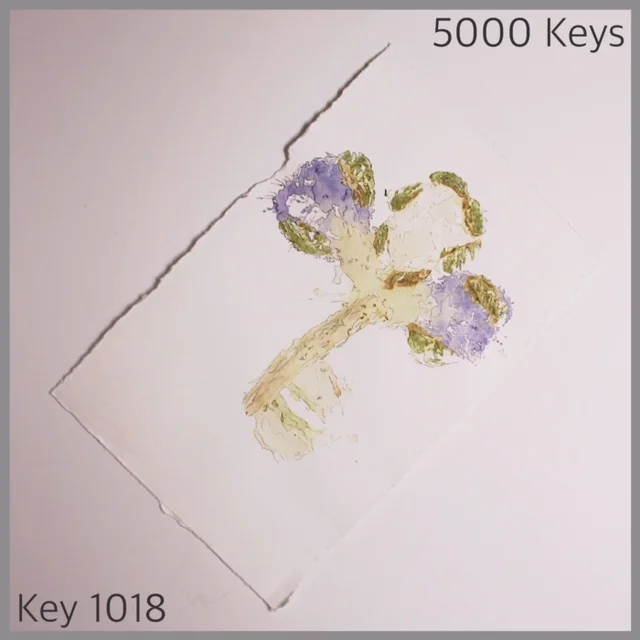Key 1018 - 1.JPG