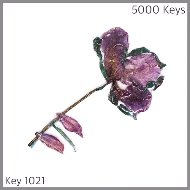 Key 1021 - 1.JPG