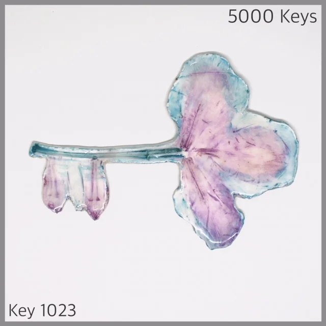 Key 1023 - 1.JPG