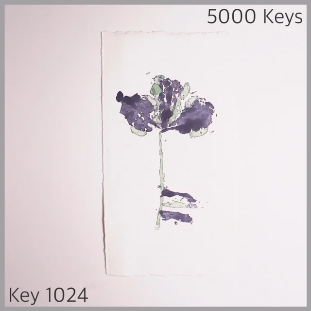 Key 1024 - 1.JPG
