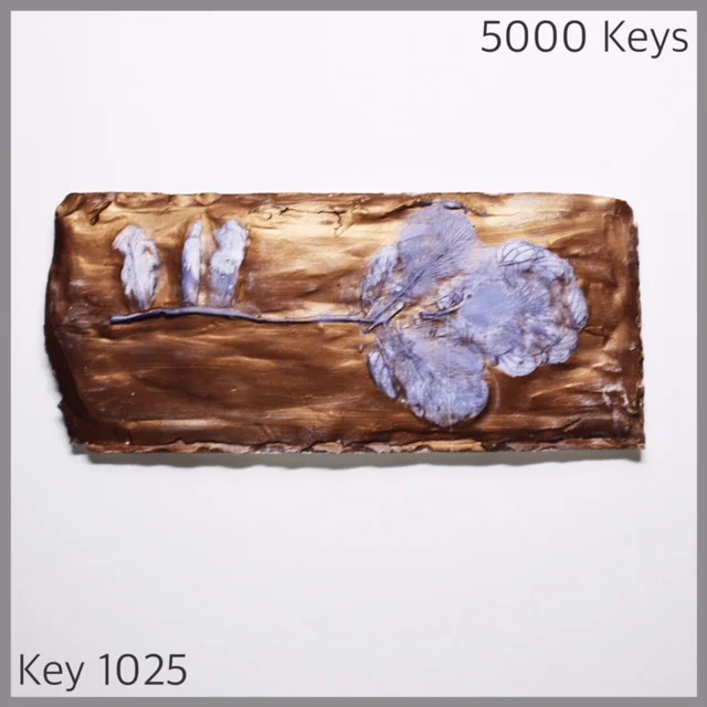 Key 1025 - 1.JPG