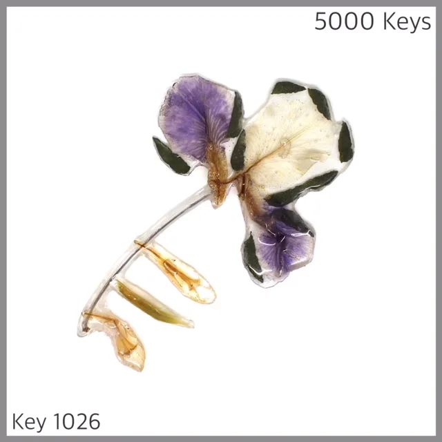 Key 1026 - 1.JPG