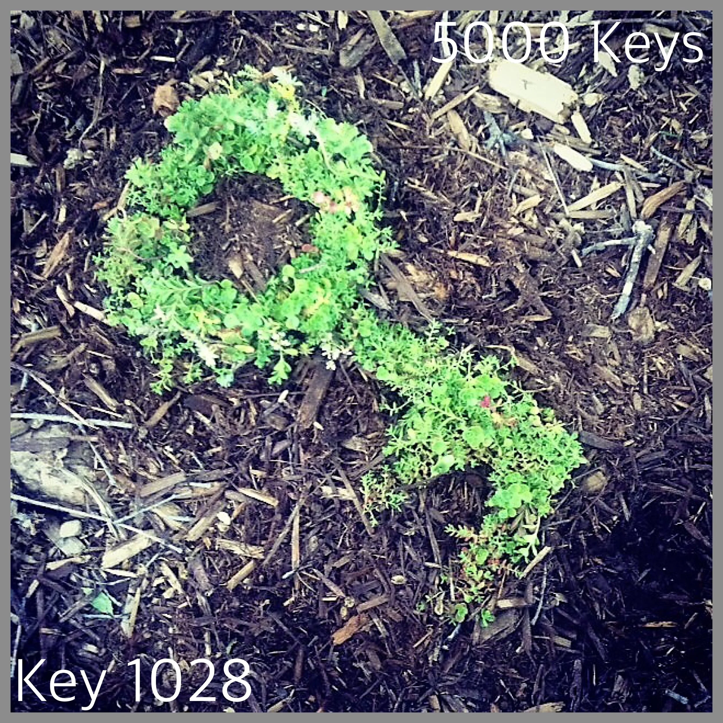 Key 1028 - 1.JPG