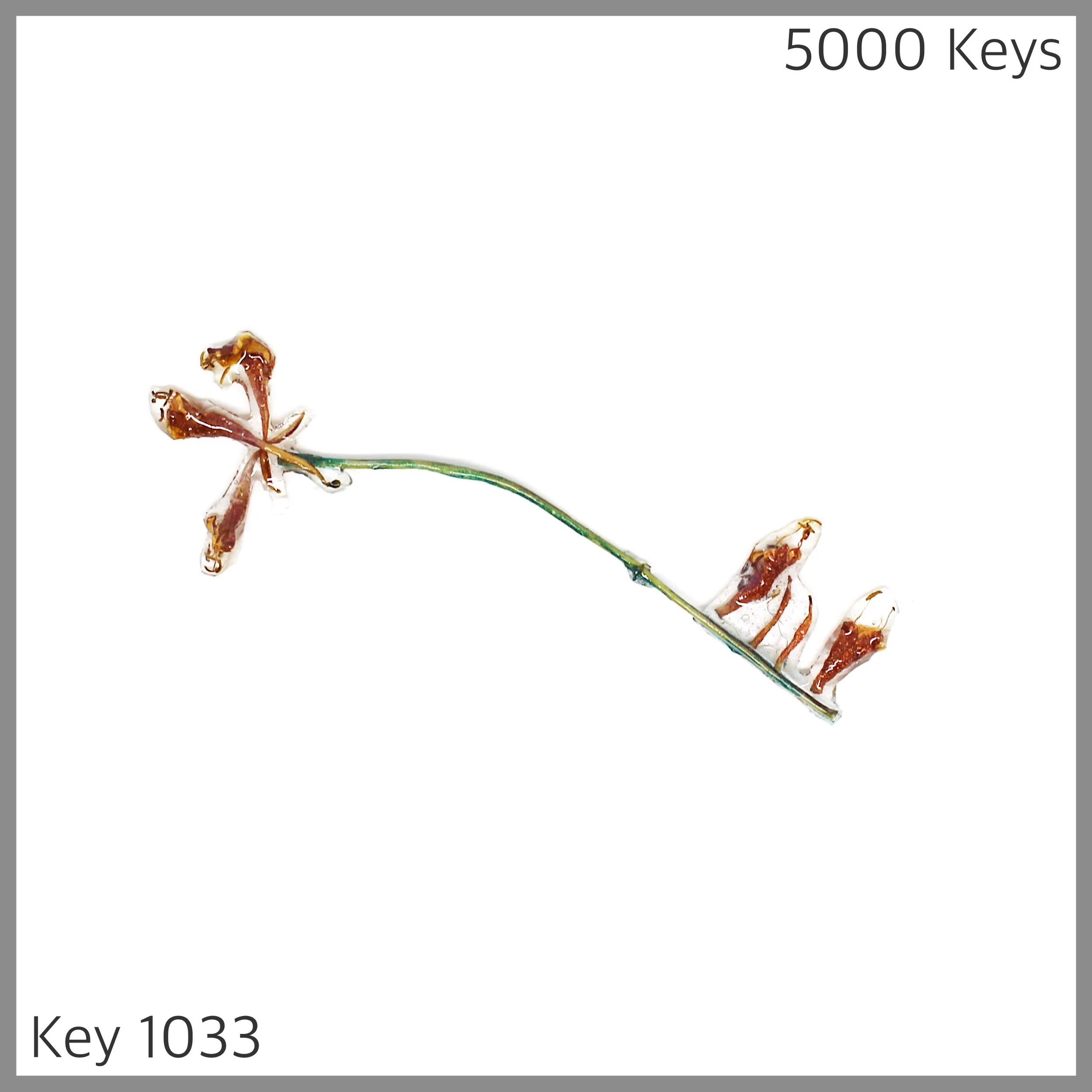 Key 1033 - 1.JPG