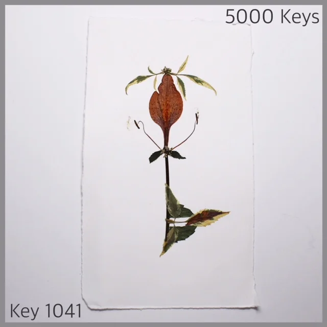 Key 1041 - 1.JPG