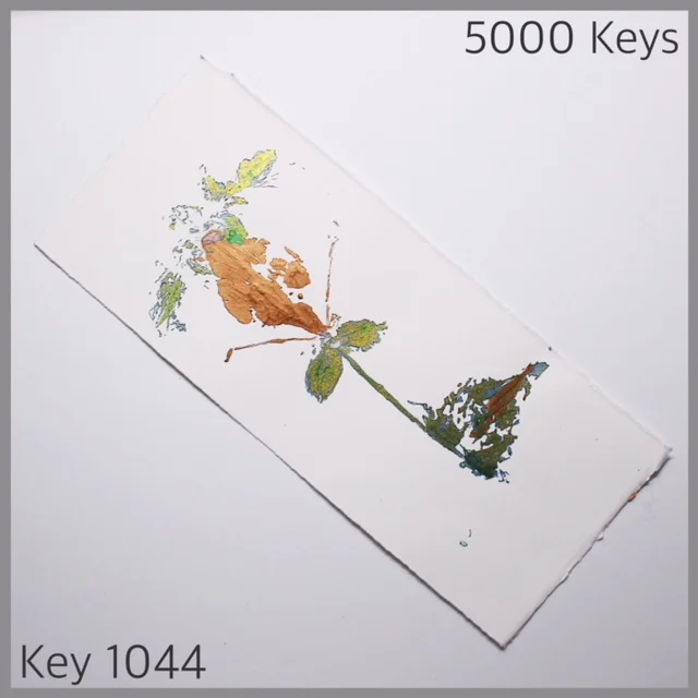 Key 1044 - 1.JPG