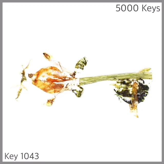Key 1043 - 1.JPG