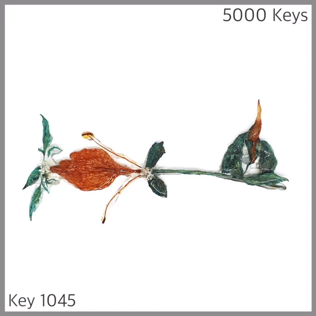 Key 1045 - 1.JPG