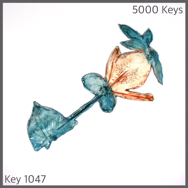 Key 1047 - 1.JPG