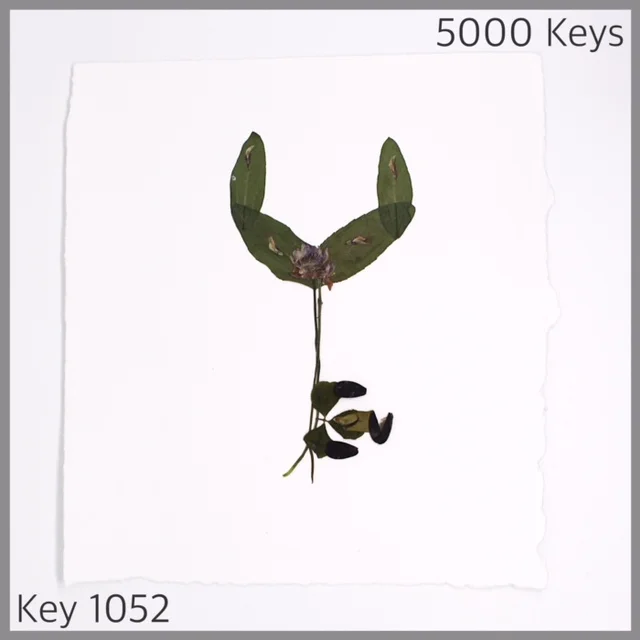 Key 1052 - 1.JPG
