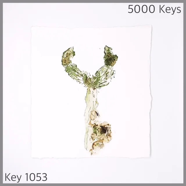 Key 1053 - 1.JPG