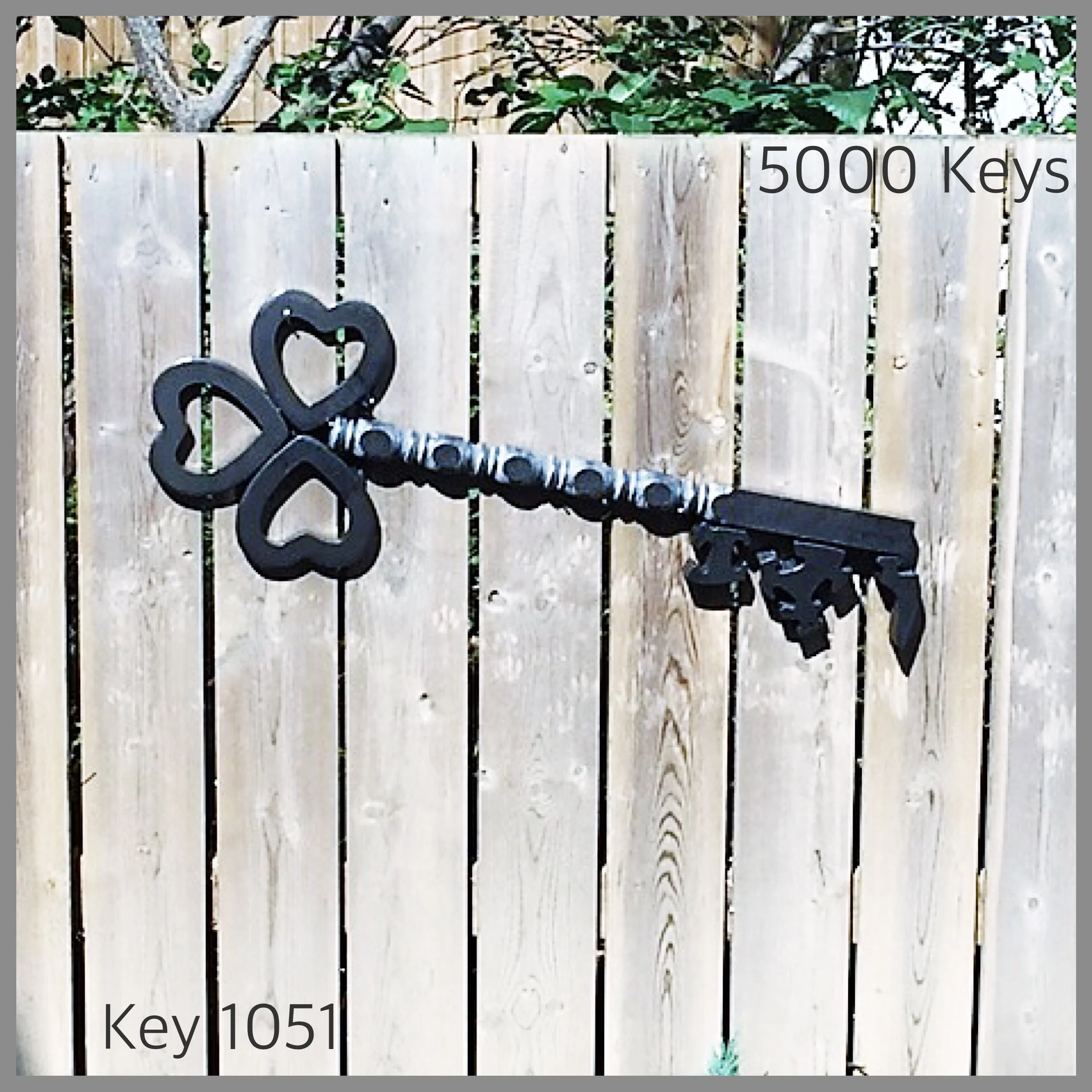 Key 1051 - 1.JPG