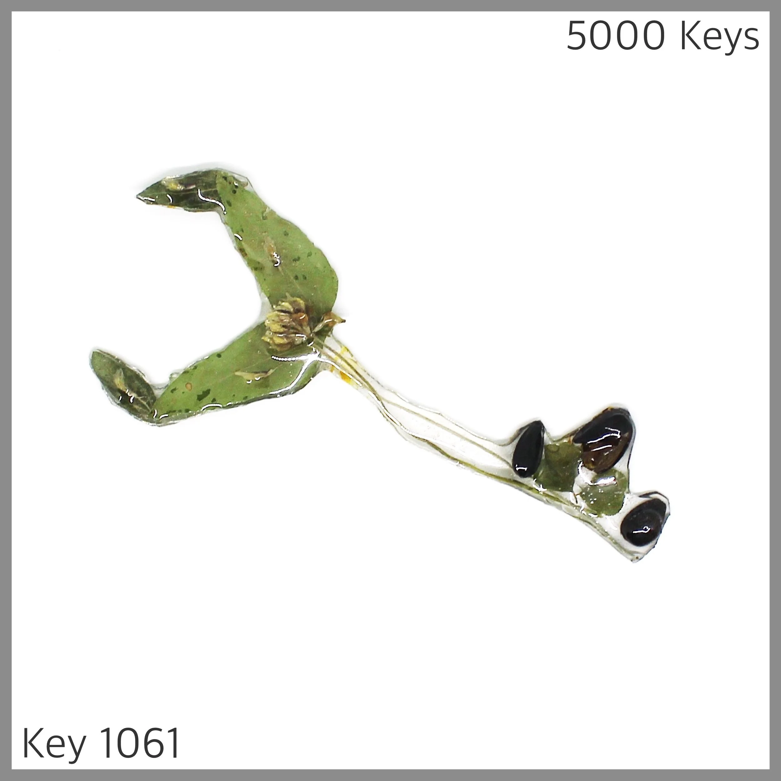 Key 1061 - 1.JPG