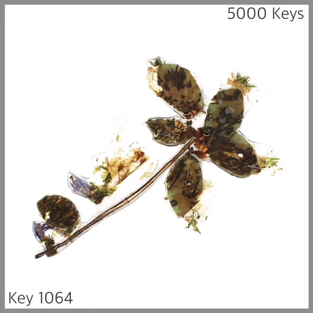 Key 1064 - 1.JPG