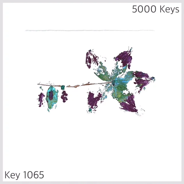 Key 1065 - 1.JPG
