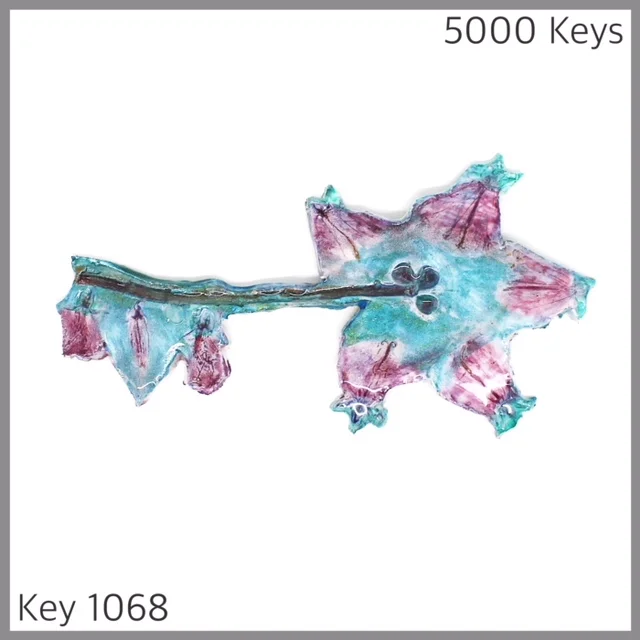 Key 1068 - 1.JPG