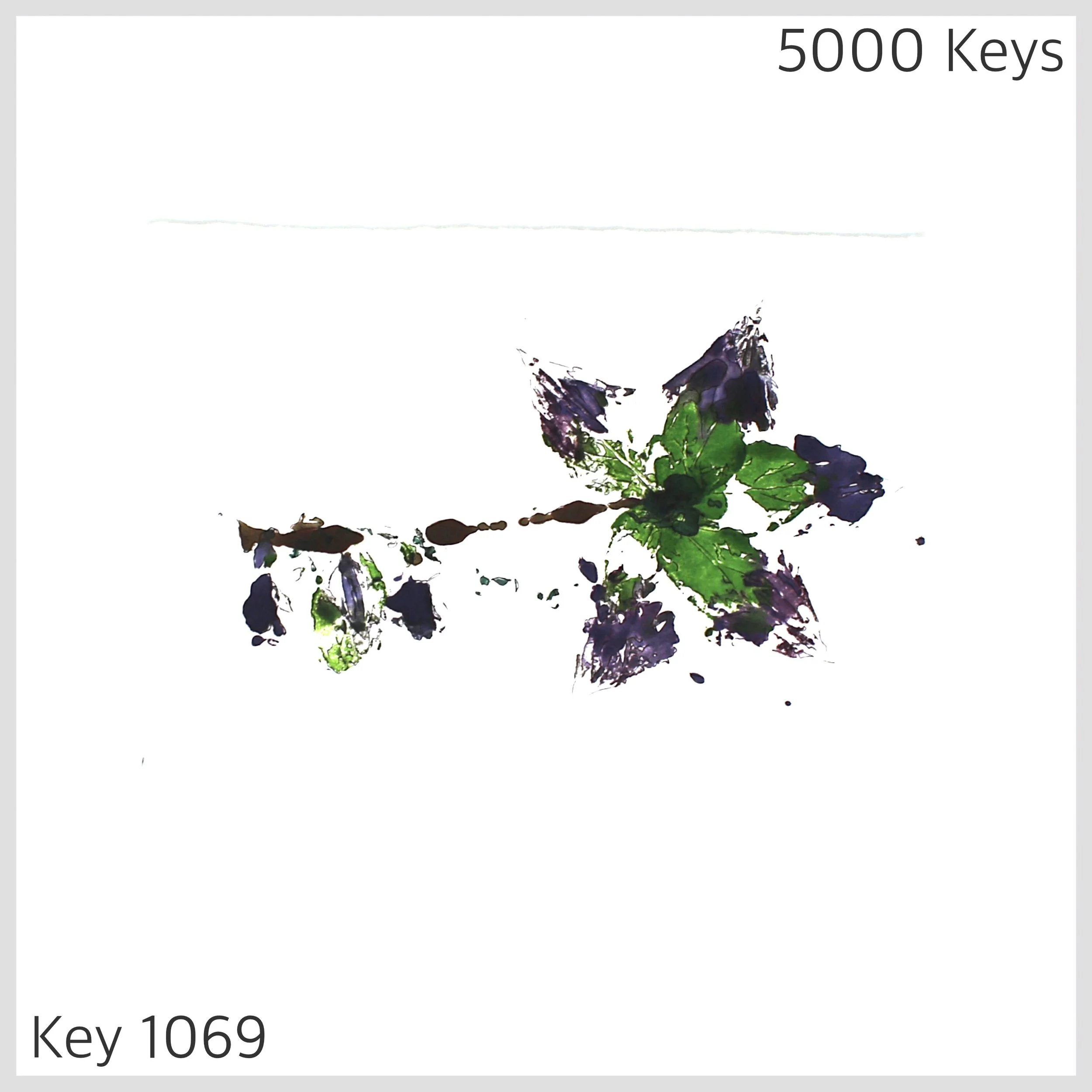 Key 1069 - 1.JPG