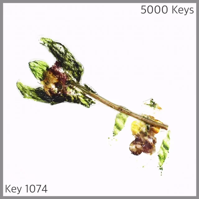 Key 1074 - 1.JPG