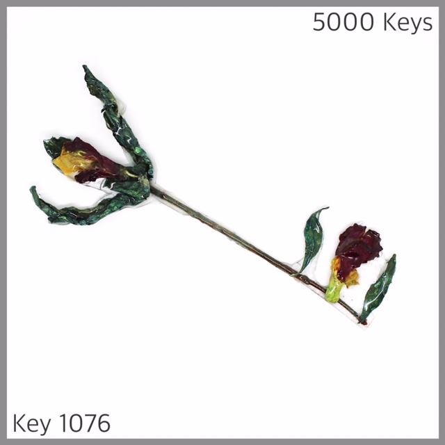 Key 1076 - 1.JPG