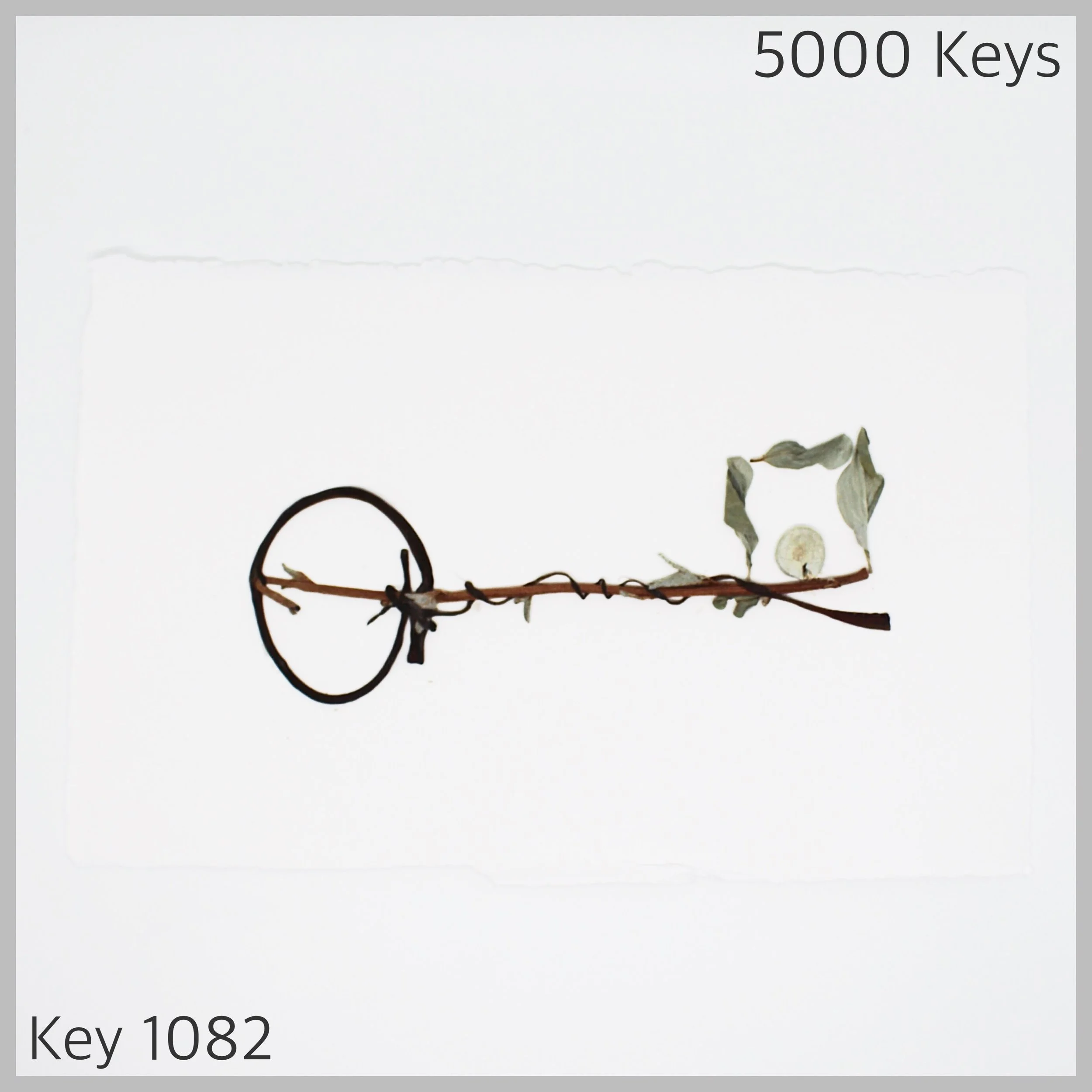 Key 1082 - 1.JPG