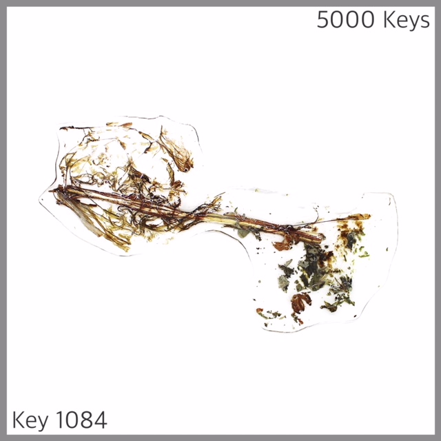 Key 1084 - 1.JPG