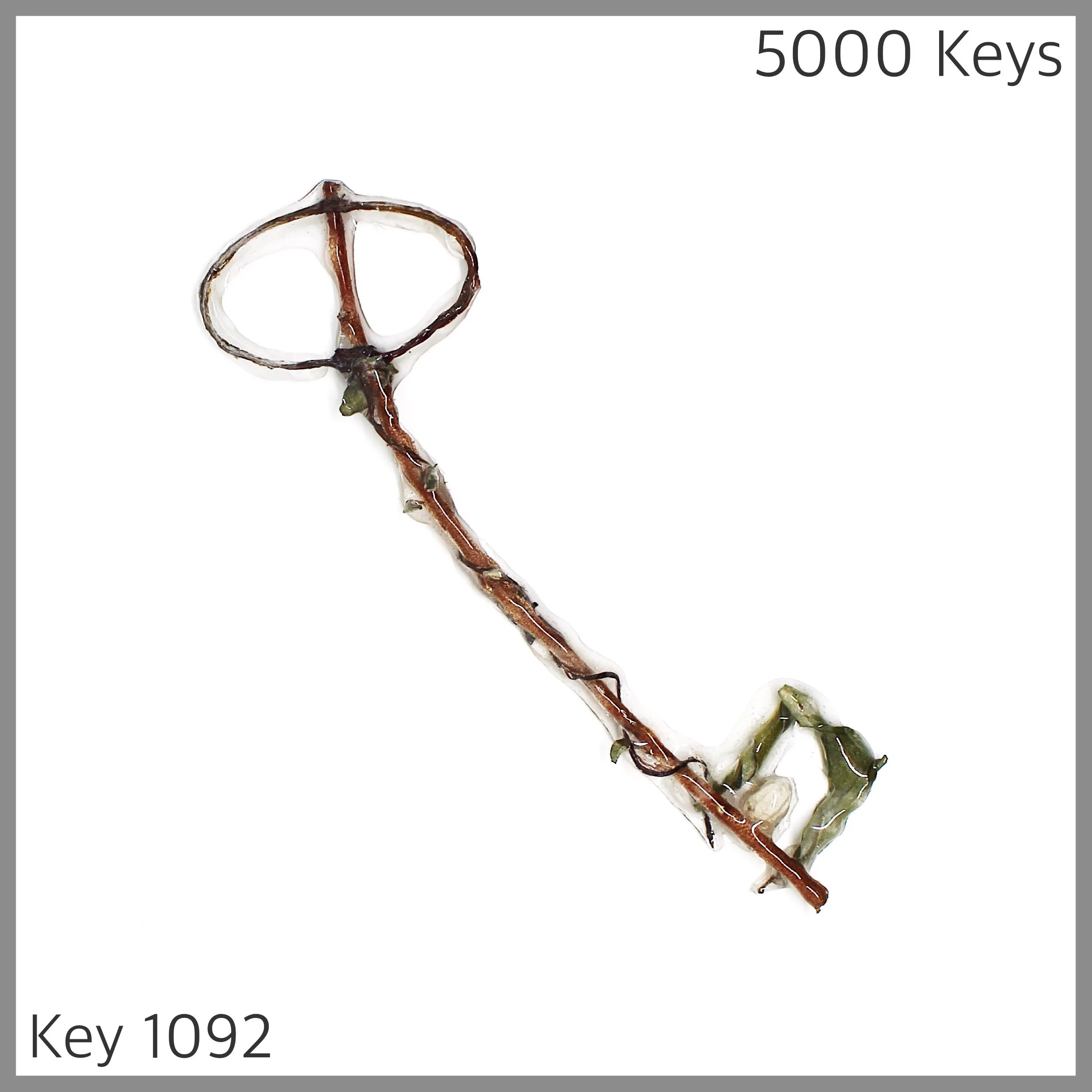 Key 1092 - 1.JPG