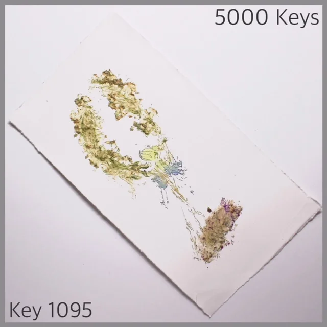 Key 1095 - 1.JPG
