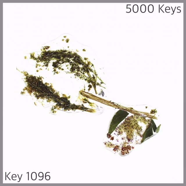 Key 1096 - 1.JPG