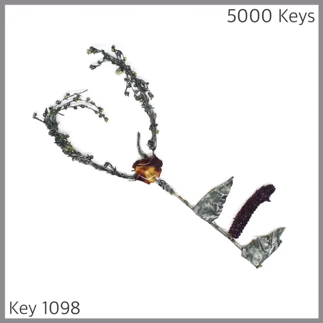 Key 1098 - 1.JPG