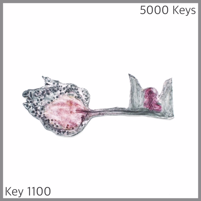 Key 1100 - 1.JPG