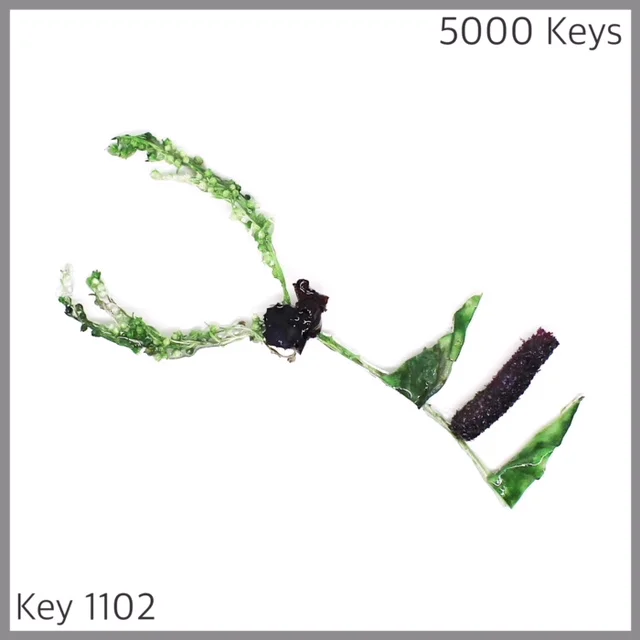 Key 1102 - 1.JPG