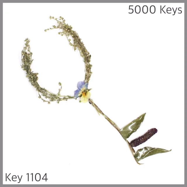 Key 1104 - 1.JPG
