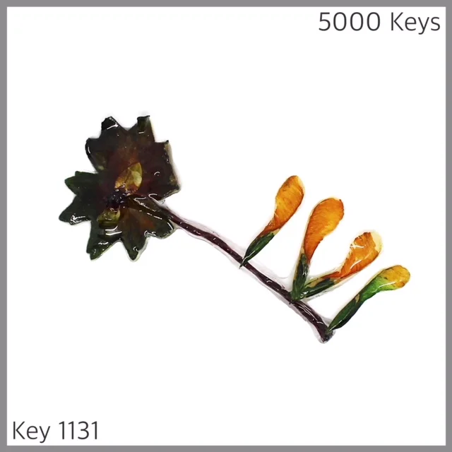 Key 1131 - 1.JPG