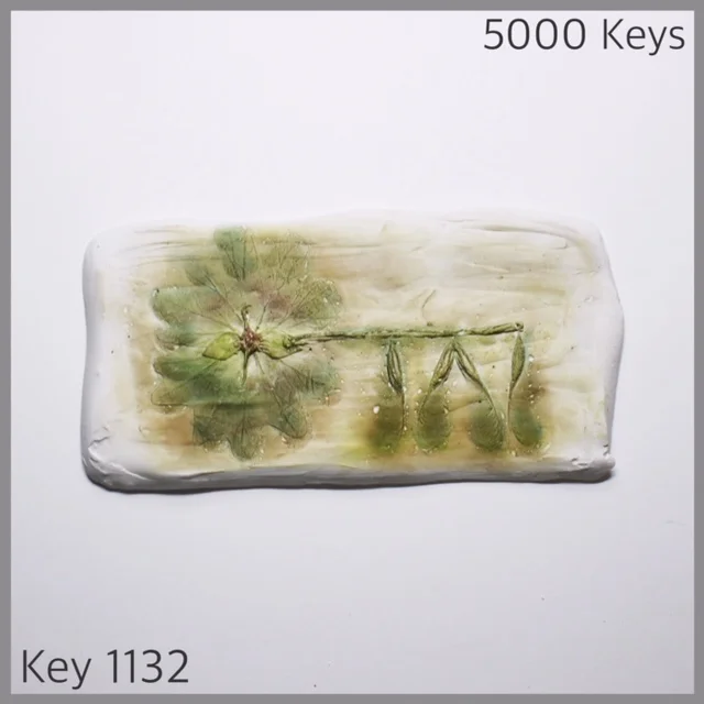Key 1132 - 1.JPG