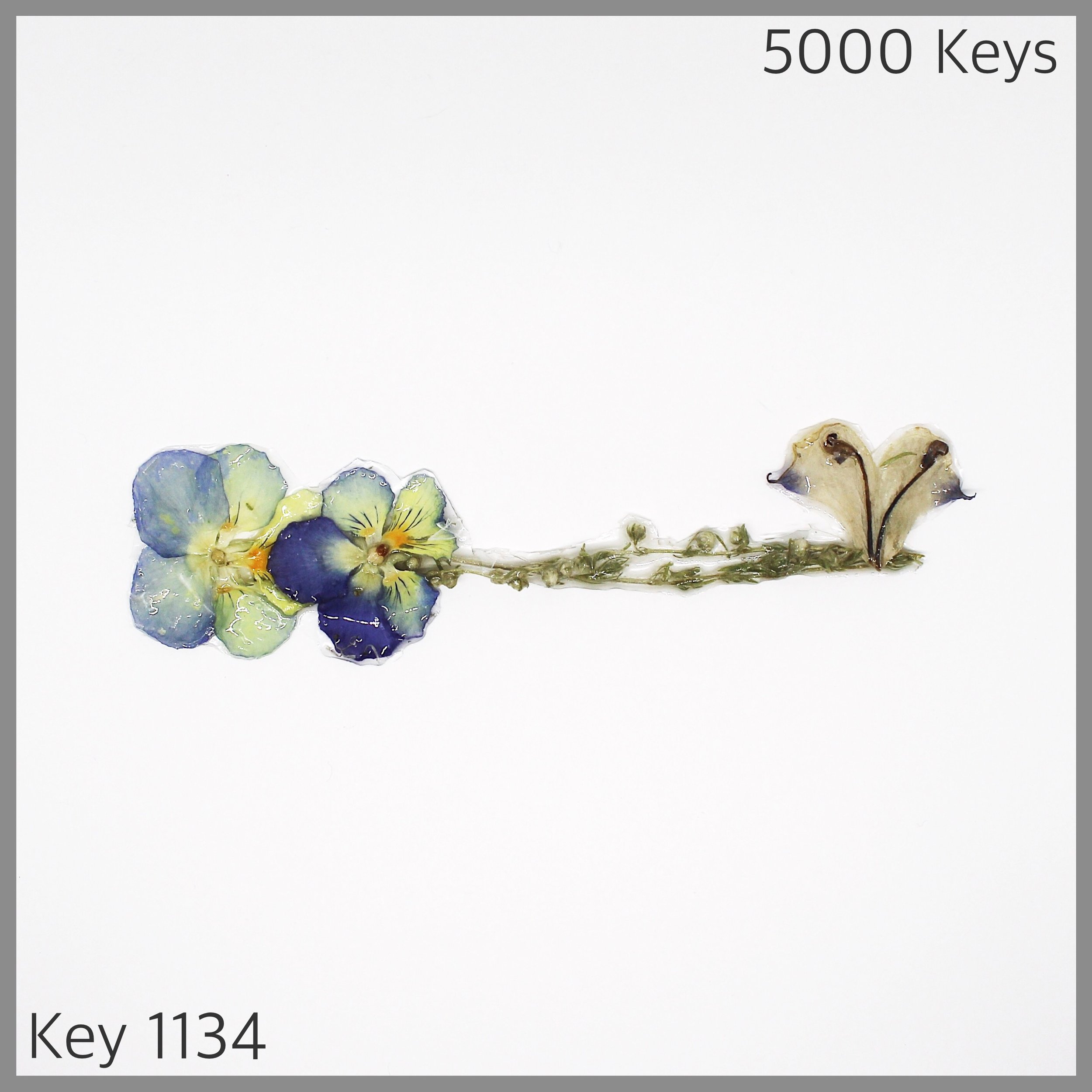 Key 1134 - 1.JPG