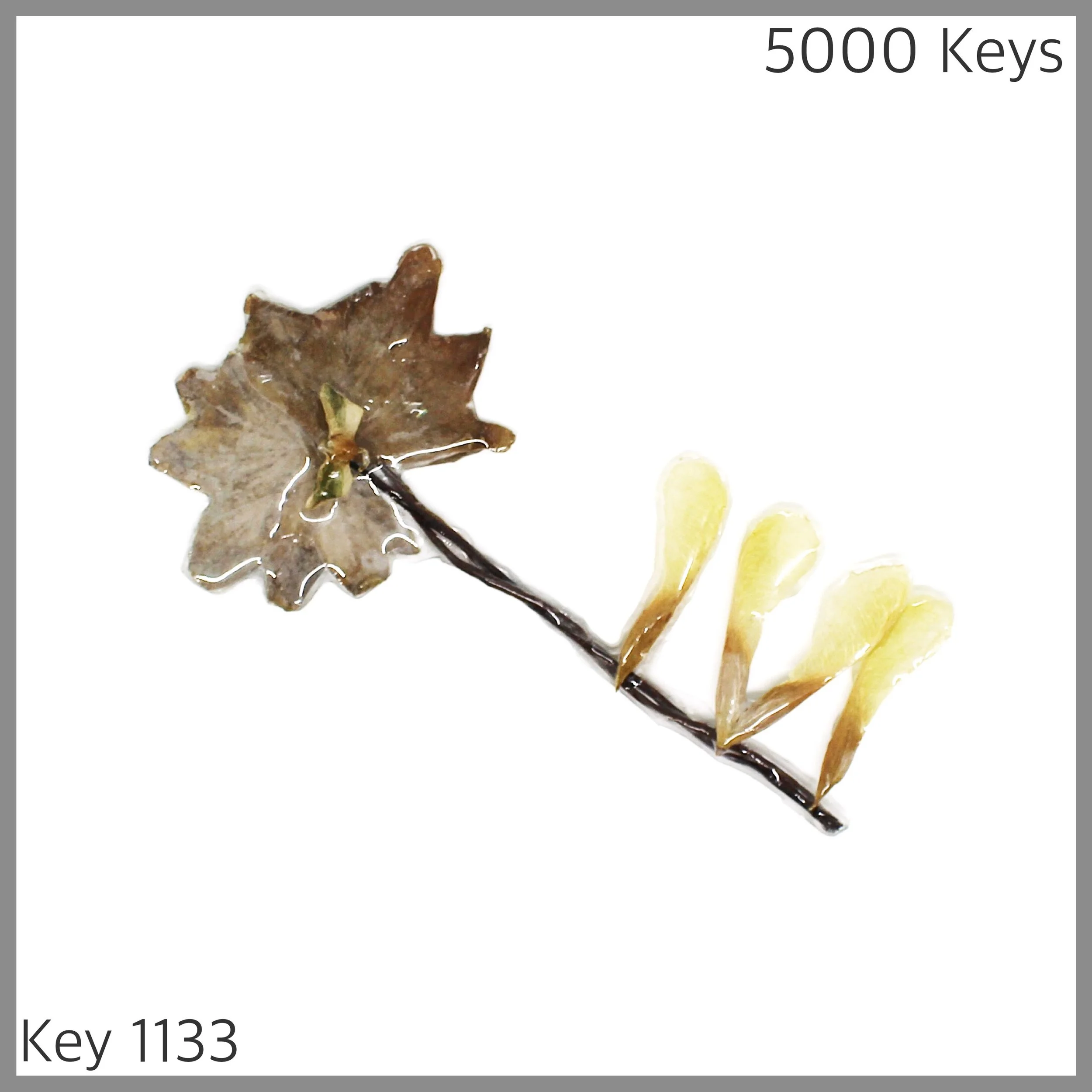 Key 1133 - 1.JPG