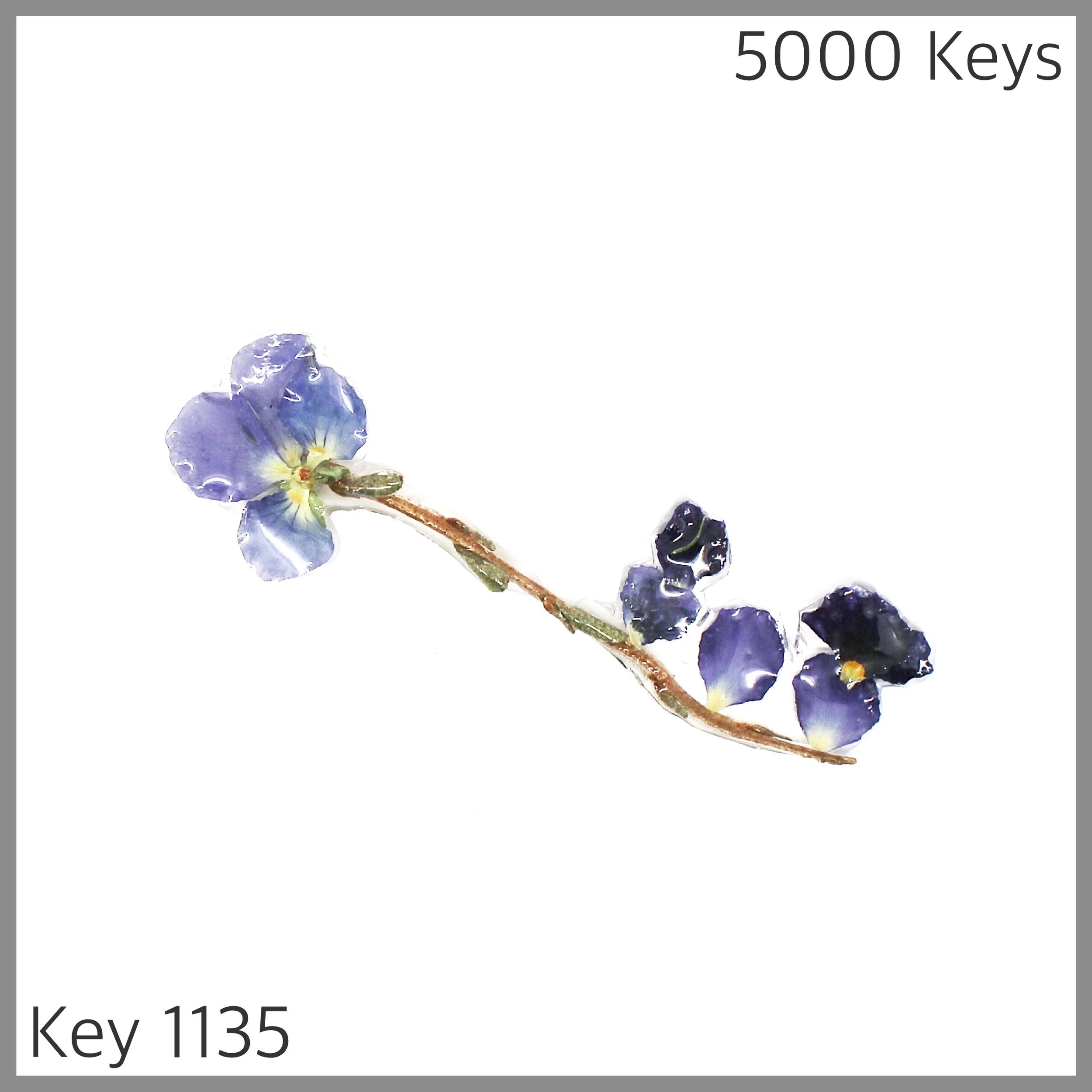 Key 1135 - 1.JPG