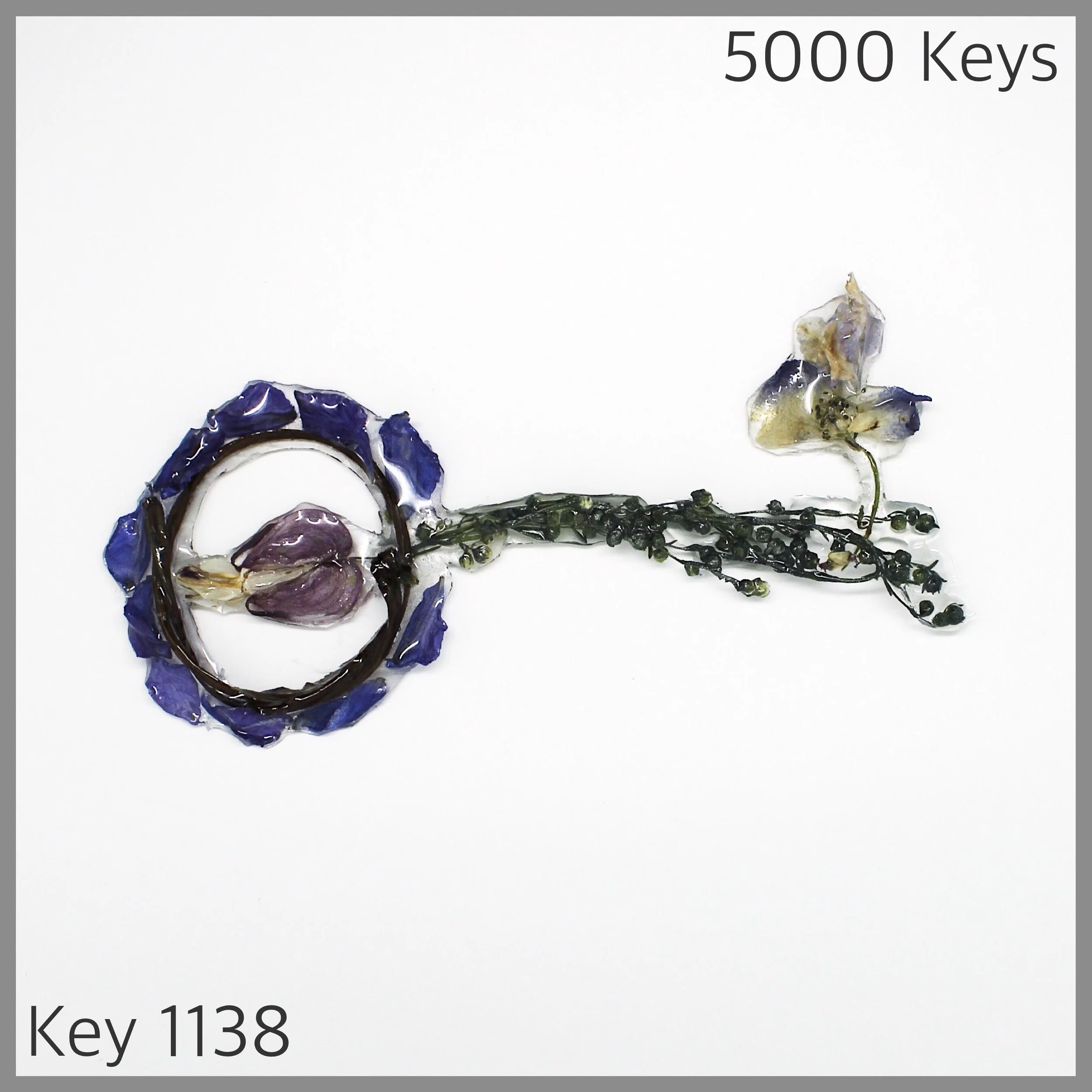 Key 1138 - 1.JPG