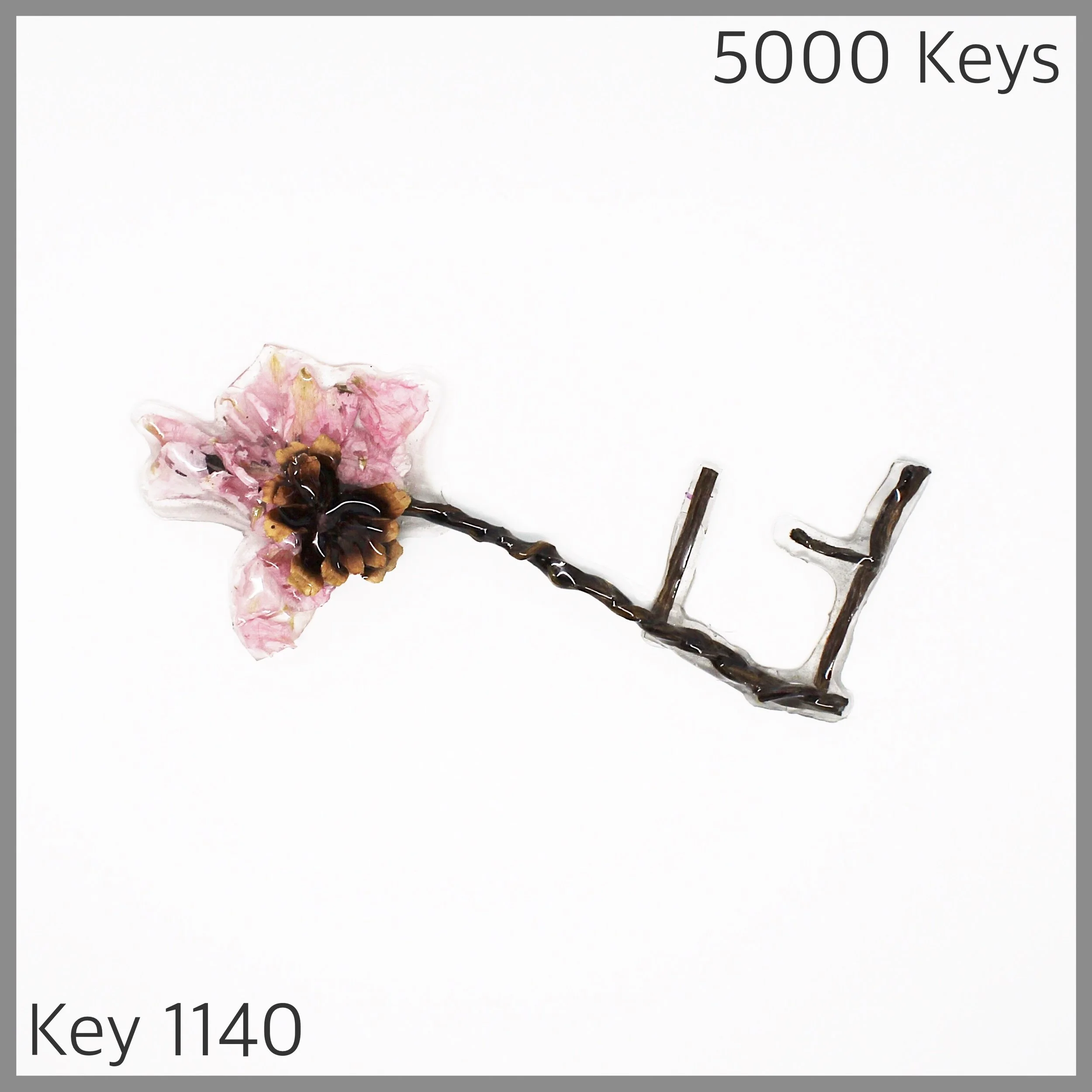 Key 1140 - 1.JPG