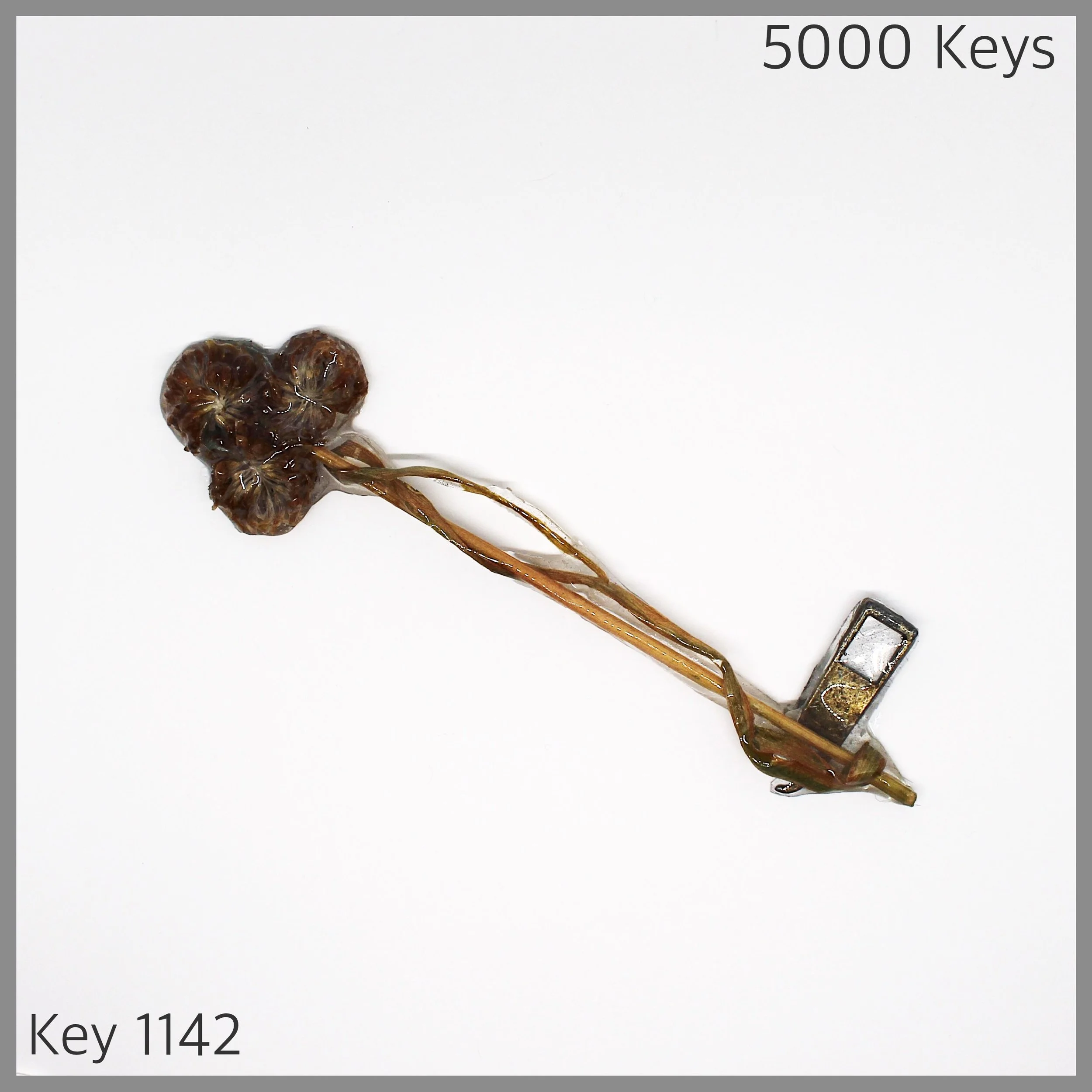 Key 1142 - 1.JPG