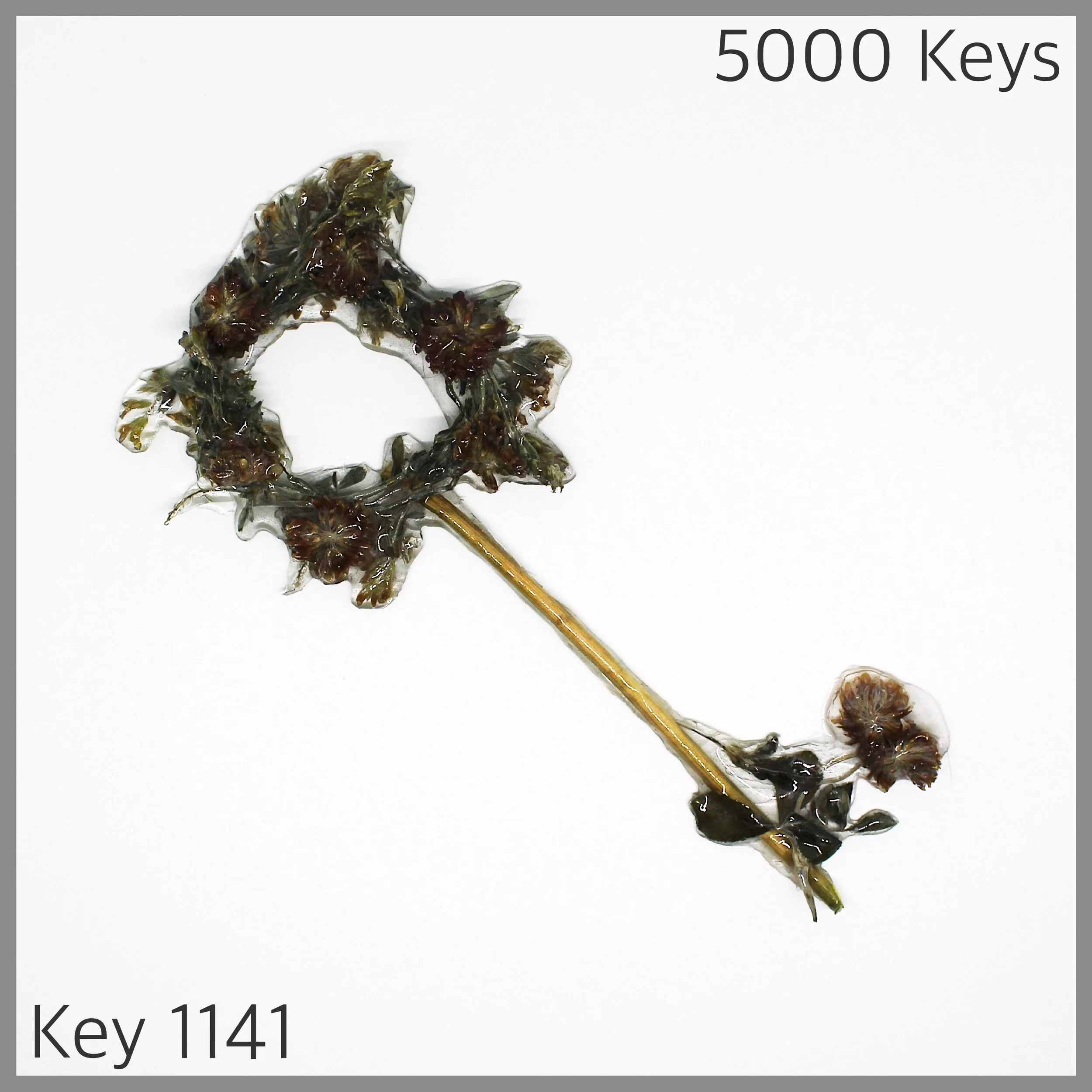 Key 1141 - 1.JPG