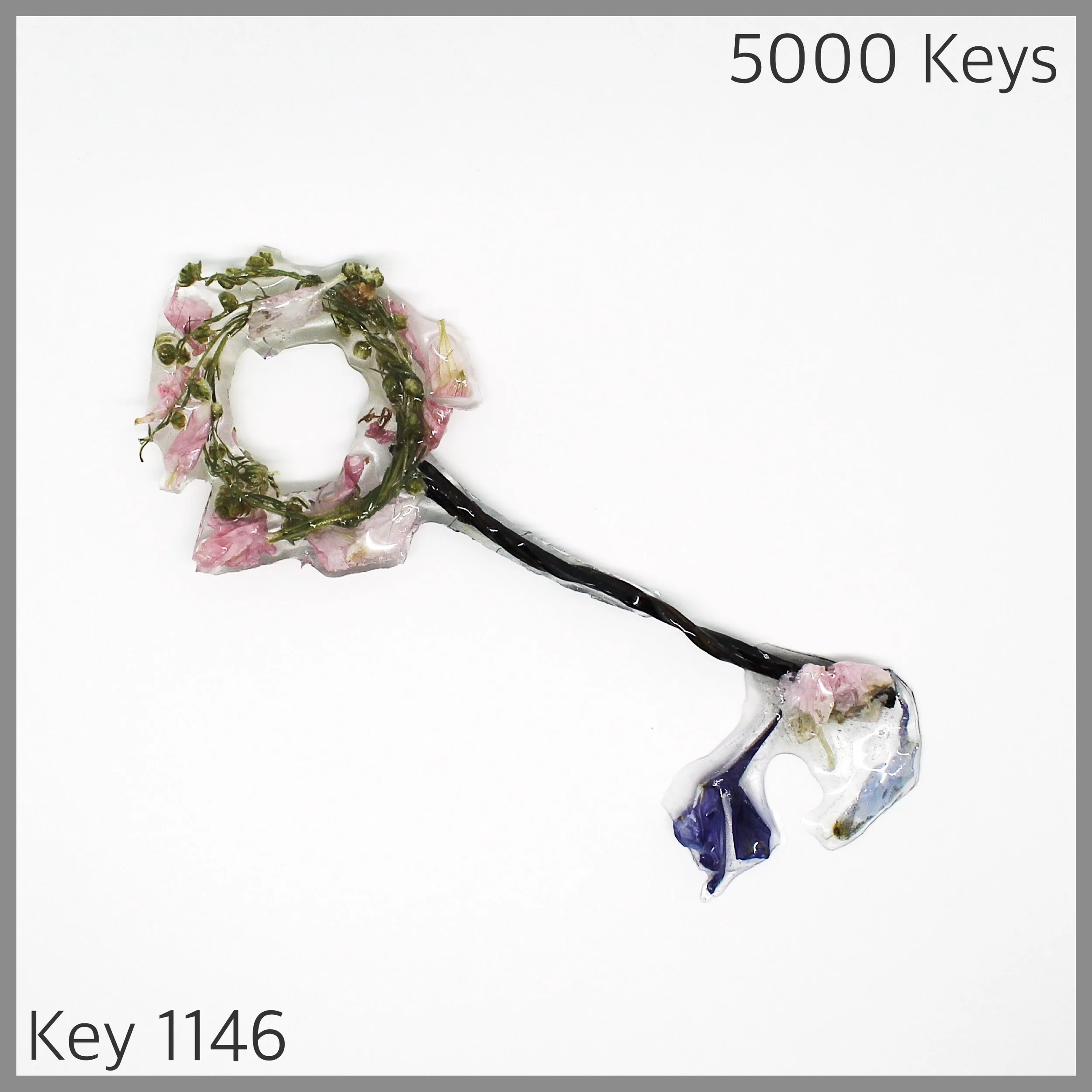 Key 1146 - 1.JPG