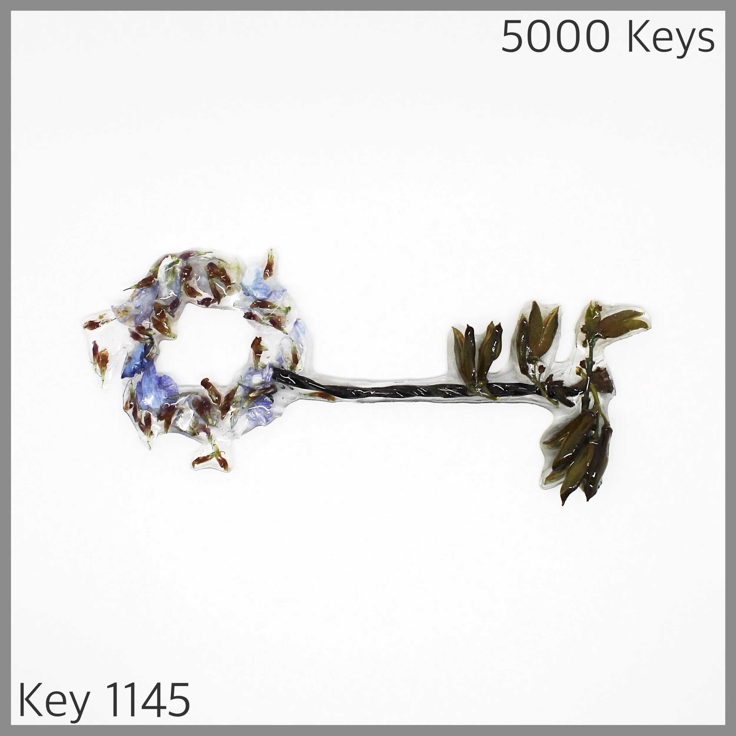 Key 1145 - 1.JPG