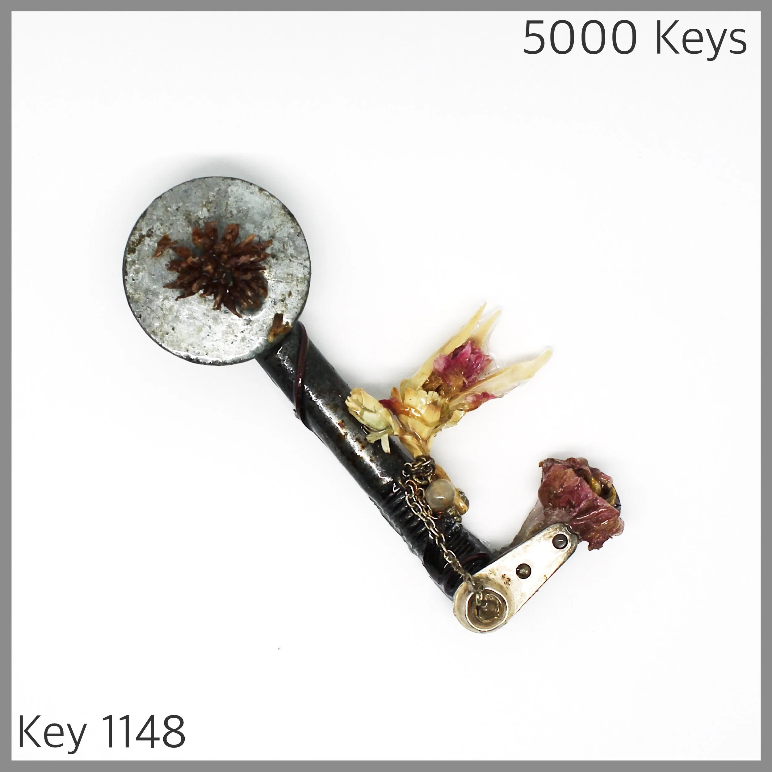 Key 1148 - 1.JPG