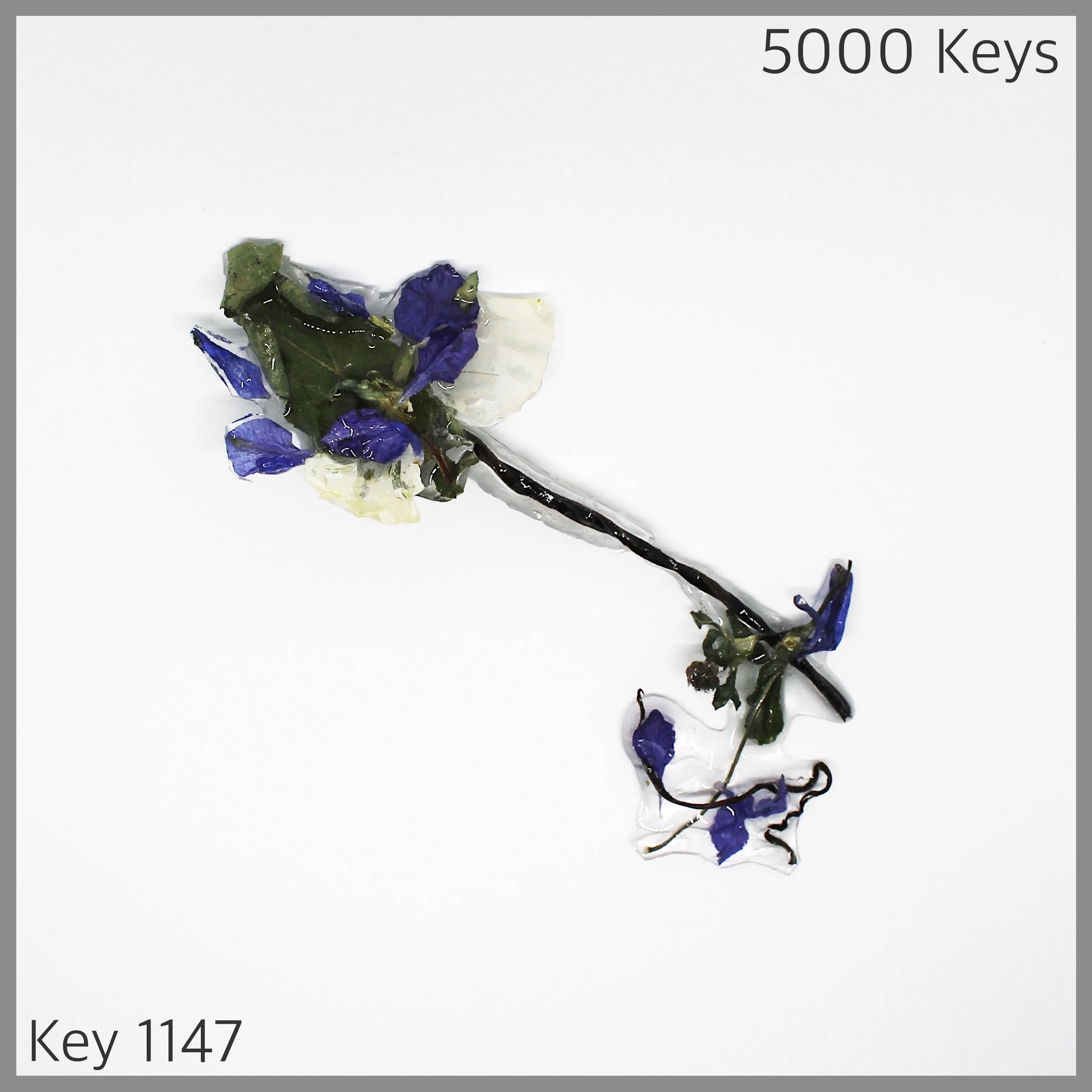 Key 1147 - 1.JPG